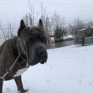 Meet your Posher, Mia